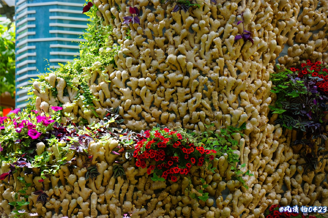 菜博会第一届,2022年菜博会天下情怀景观