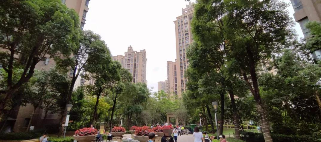 踩盘广州金沙洲,广州金沙洲有哪些新楼盘