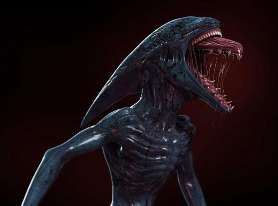 寮傚舰vs閾佽鎴樺＋娣卞害瑙ｈ,涔愰珮閾佽鎴樺＋vs寮傚舰