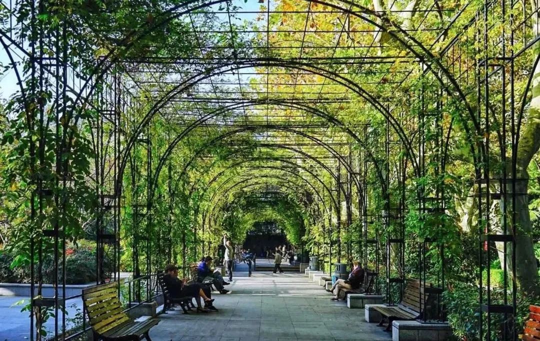 上海20年变化,魔都20年