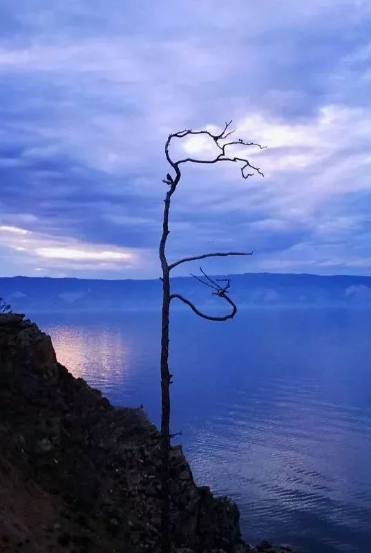 手机拍出的大片摄影作品,手机拍作品好看又高清