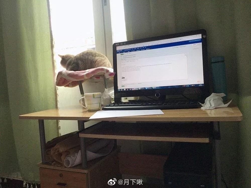 疫情期间做好3件事,疫情结束后想要去做的20件小事