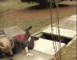 搞笑gif趣图兄弟们来跟我一起摇摆,大哥搞笑动图gif