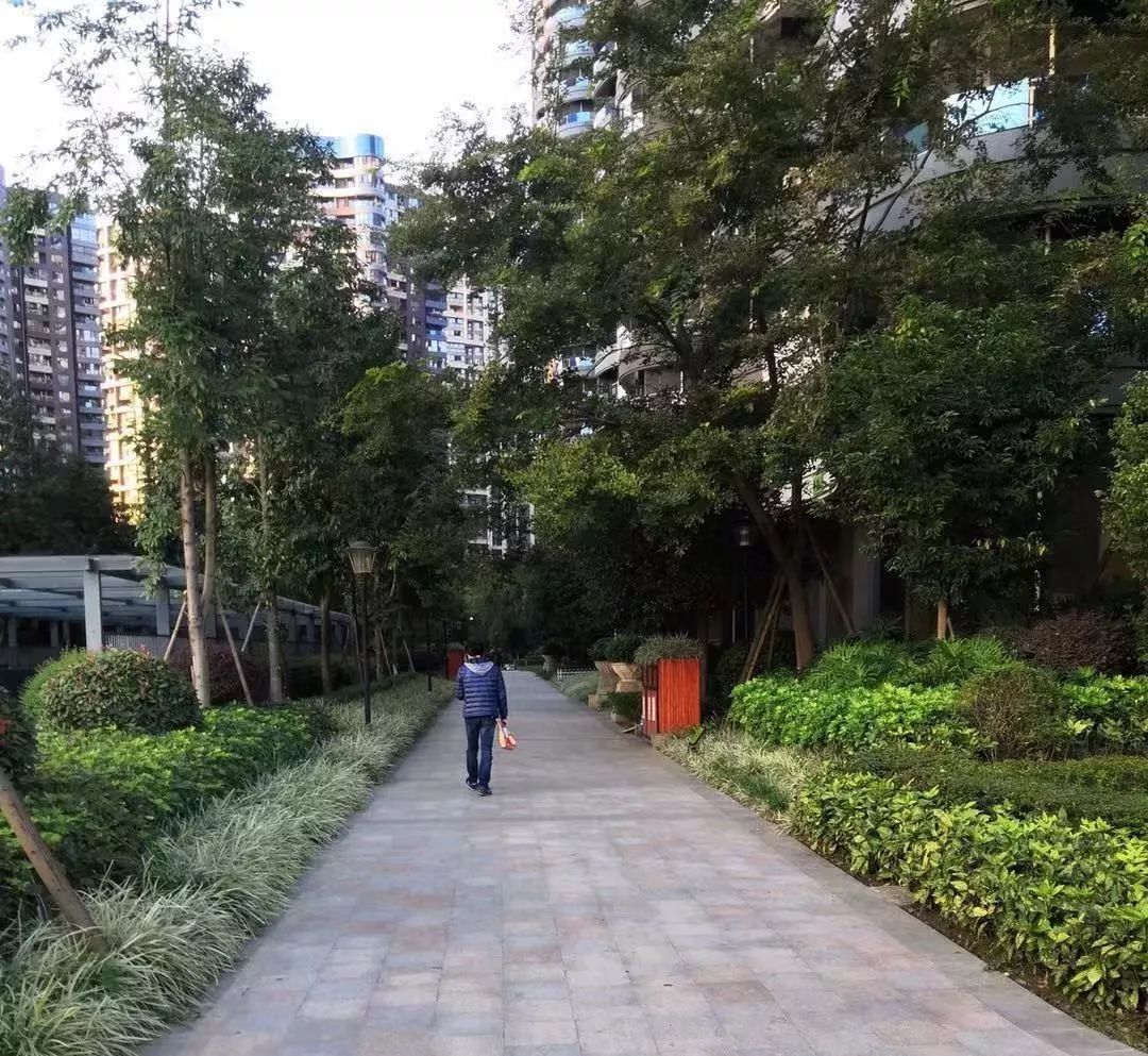 天府新区好的学区房有哪些,天府新区小学排名及周边楼盘