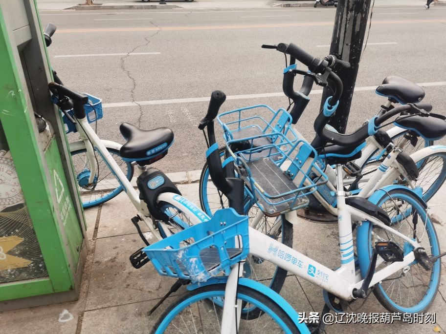 葫芦岛今日新闻日报,葫芦岛新闻11月16日