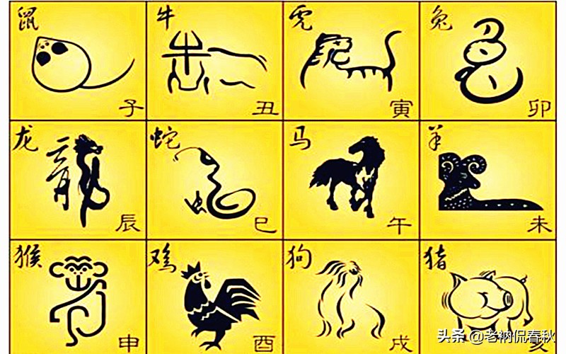 鼠年立春后多少天,立春过后才算是鼠年吗