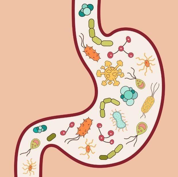 添加辅食宝宝便秘了该怎么处理,宝宝便秘十款辅食常吃便秘不再来