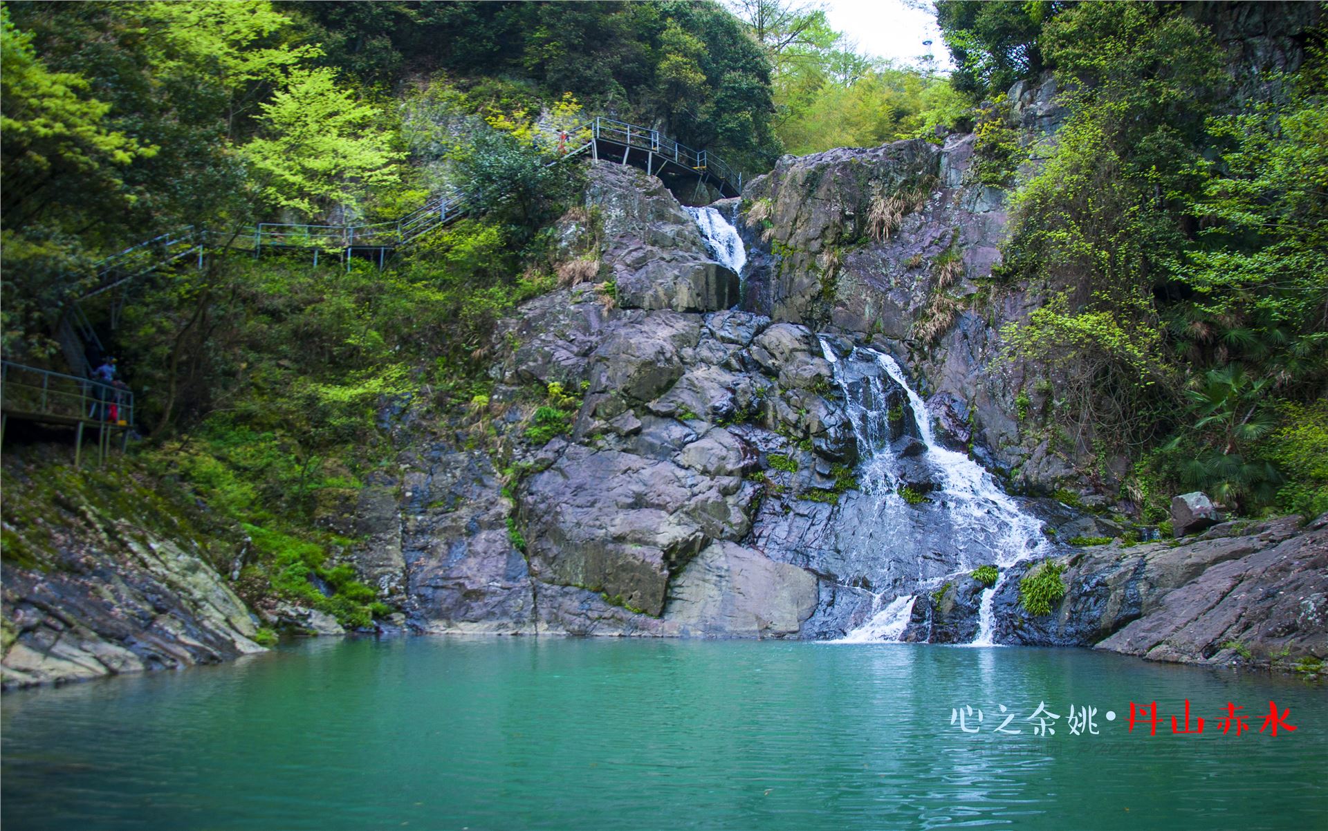 丹山赤水的老柿林景区,丹山赤水柿林古村
