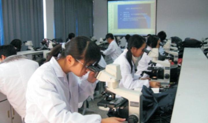 温大生物技术,中科大化学物理专业就业前景