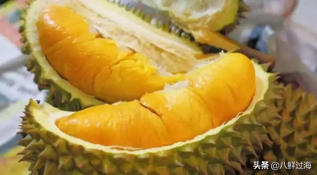 榴莲之王品种,榴莲无壳无核