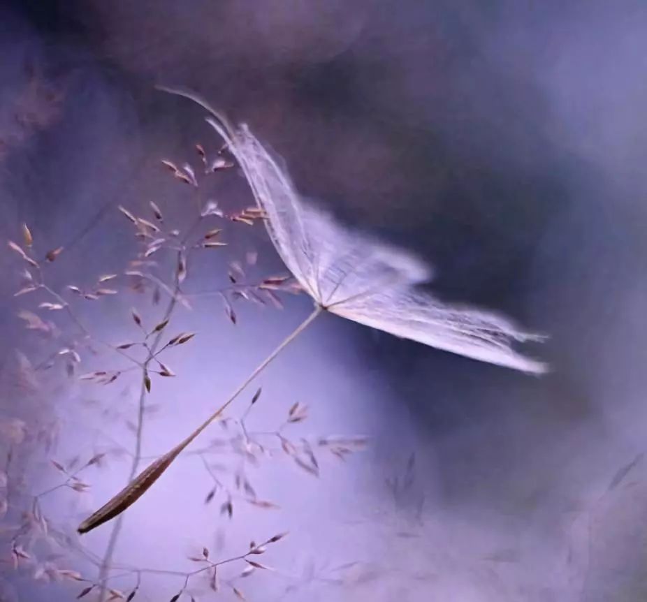 人生和电影一样都是以余味为标准,人生与电影一样都是以余味定输赢