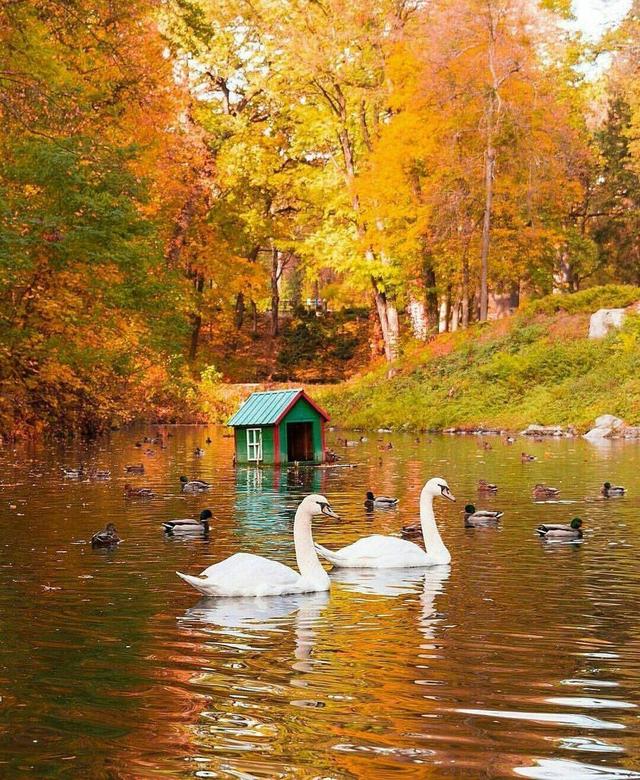 旅游西双版纳跟团游坑不坑 (泰国跟团游防坑2017)