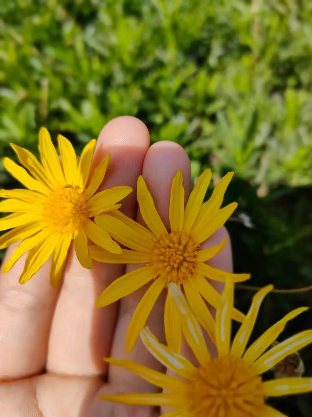 知道自己要什么的人,知道自己要什么的人真好