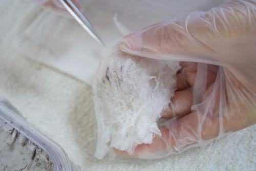 挑燕窝毛最简单的方法视频,燕窝工厂挑毛怎么样最快