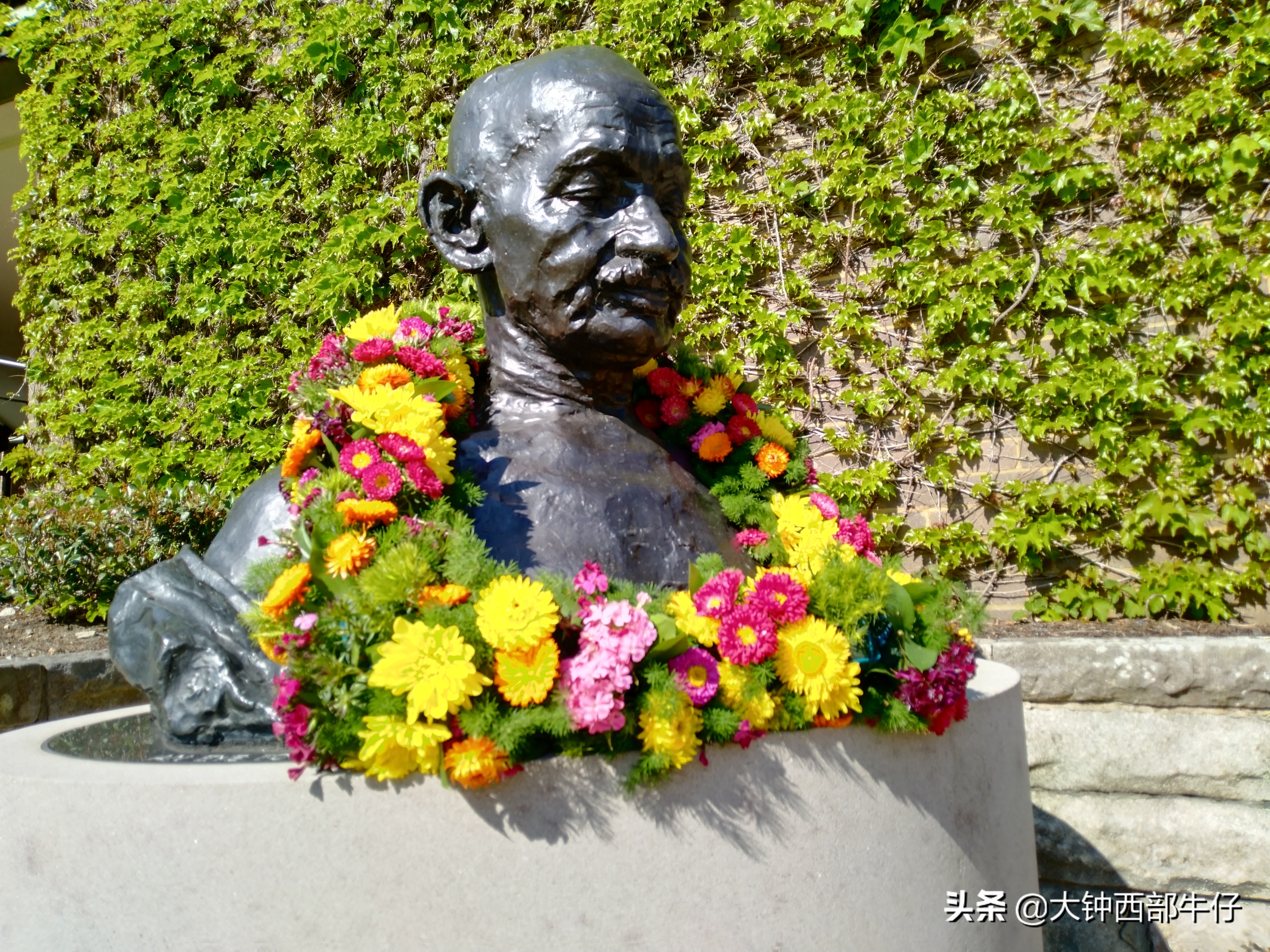 我逛了逛新南威尔士大学，这可是澳洲八大高校之一