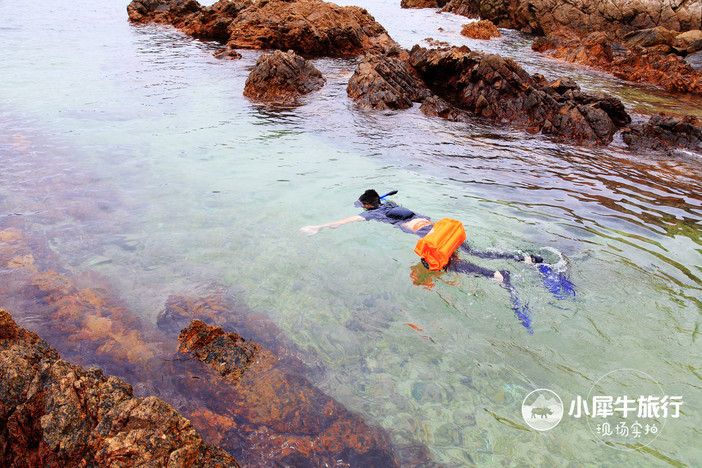 五一小长假海岛露营,小长假海岛露营