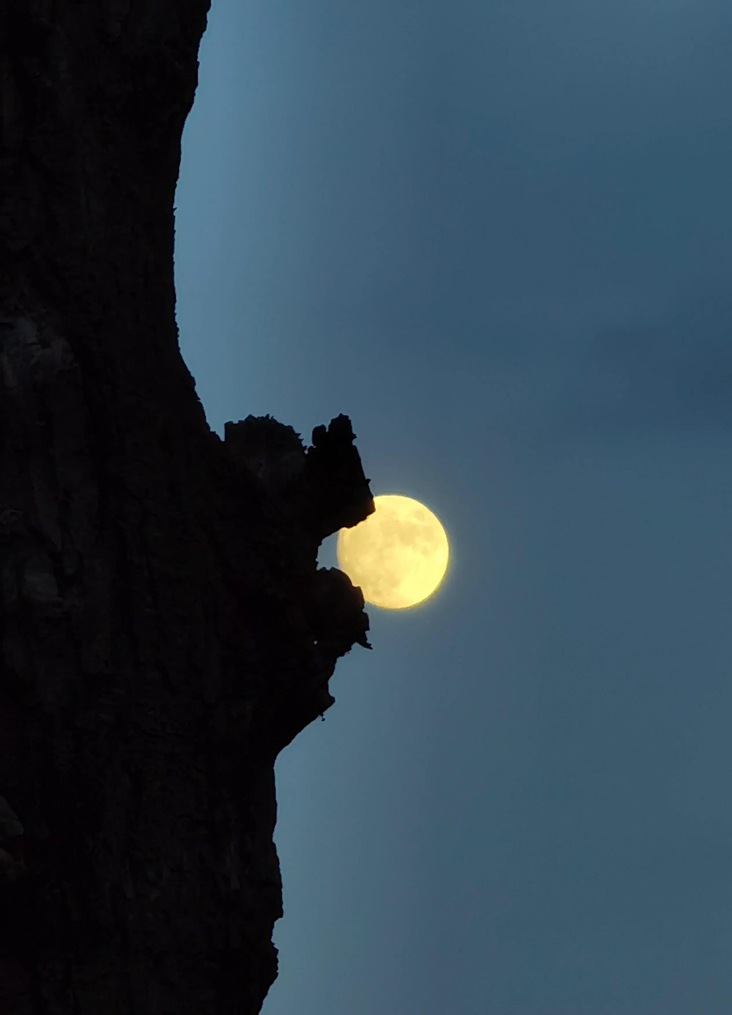 手机摄影手册圈友作品选第5期,手拍世界摄影交流平台