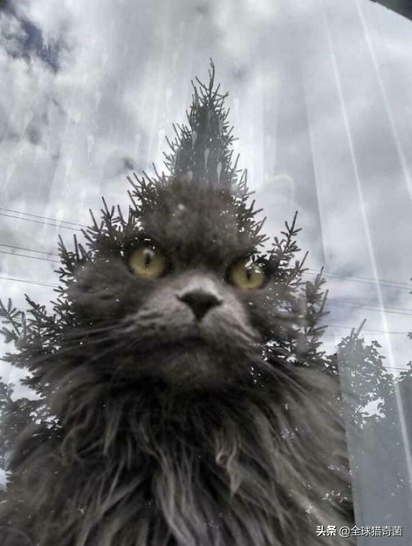 44张难以置信的图片,45张令人难以置信的图