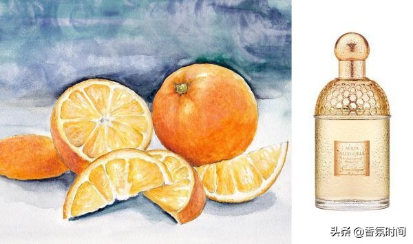 夏天用什么香水最清新,夏日清凉香水怎么样