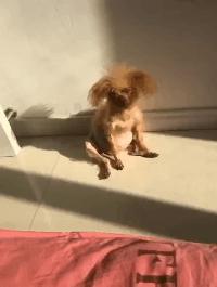 两根黄瓜搞笑图片,腰椎间盘突出搞笑图片高清大图