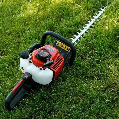 种的自然草坪要怎样养护,精心饲养的花草