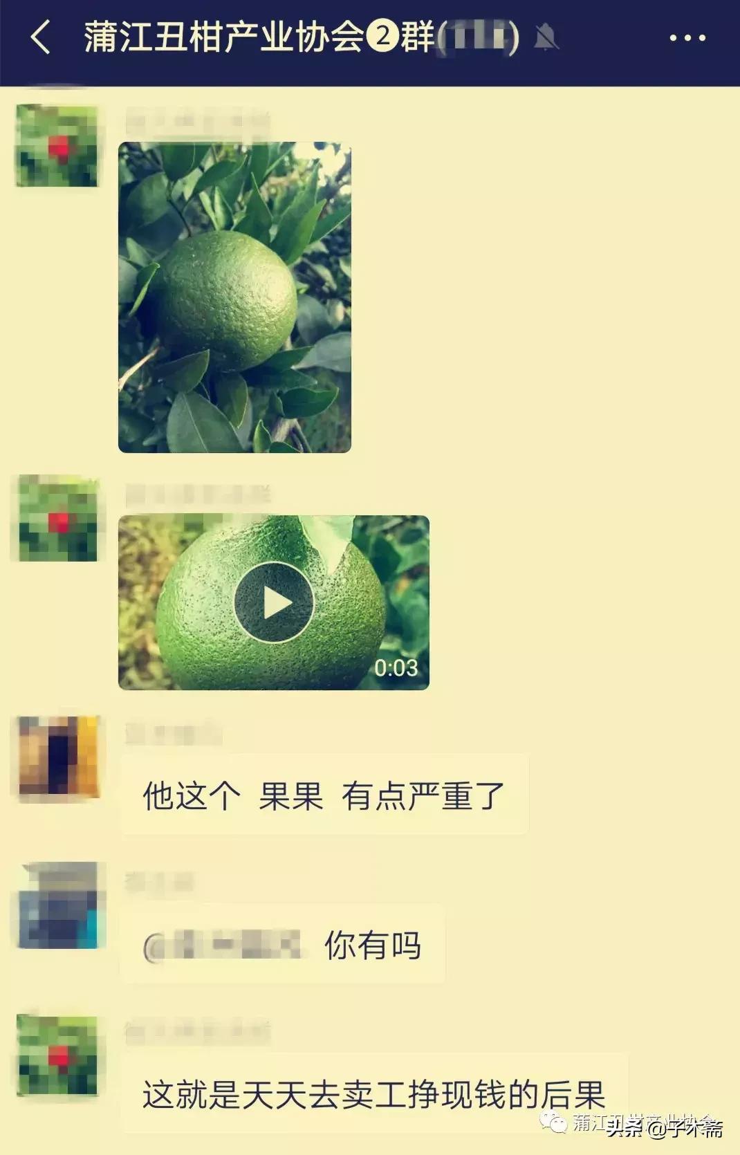 树脂病防治最佳时间,树脂病有特效药吗