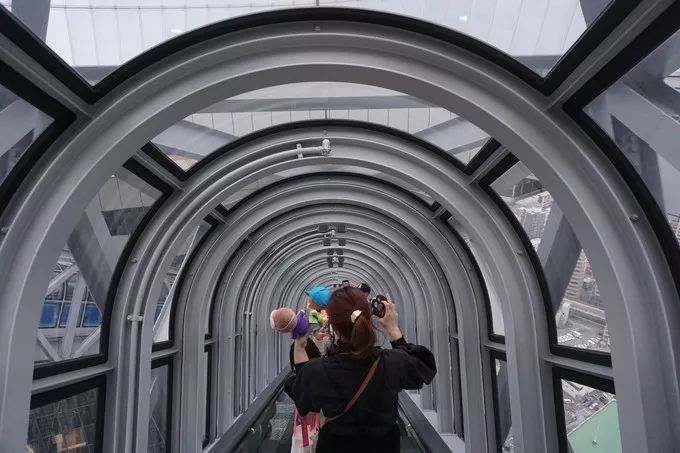 日本的樱花又开了哦,日本樱花又开了是什么梗