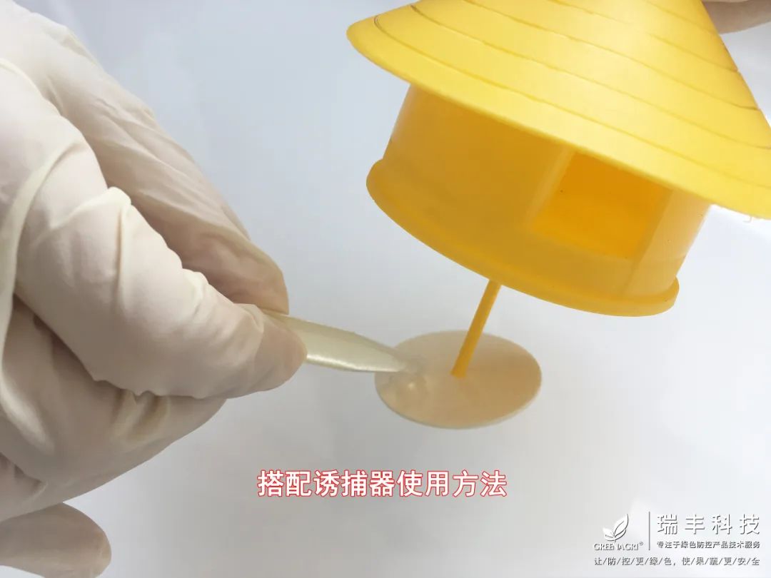 诱粘瓜实蝇,实蝇诱粘剂