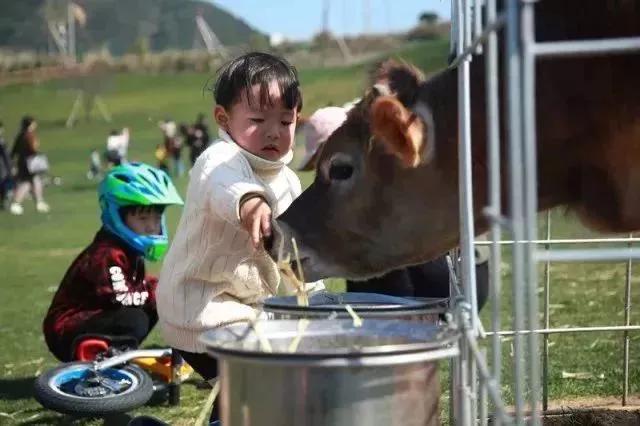 温州24个露营基地,温州湖岭露营地点推荐