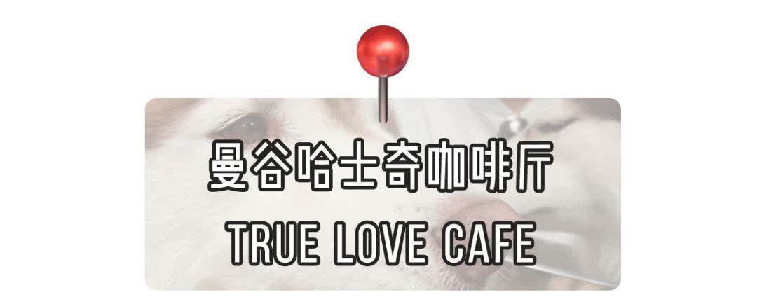 泰国吃喝玩乐全攻略,超全的泰国出行指南出门前必看