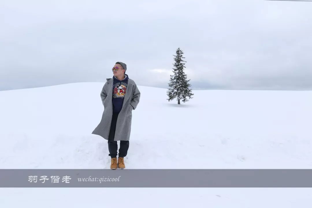 老实说,这一趟北海道就是为了拍好看的照片去的