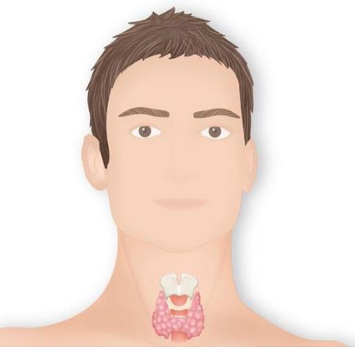 甲状腺结节是常见病还是疑难杂症,甲状腺结节的原因和危害有哪些