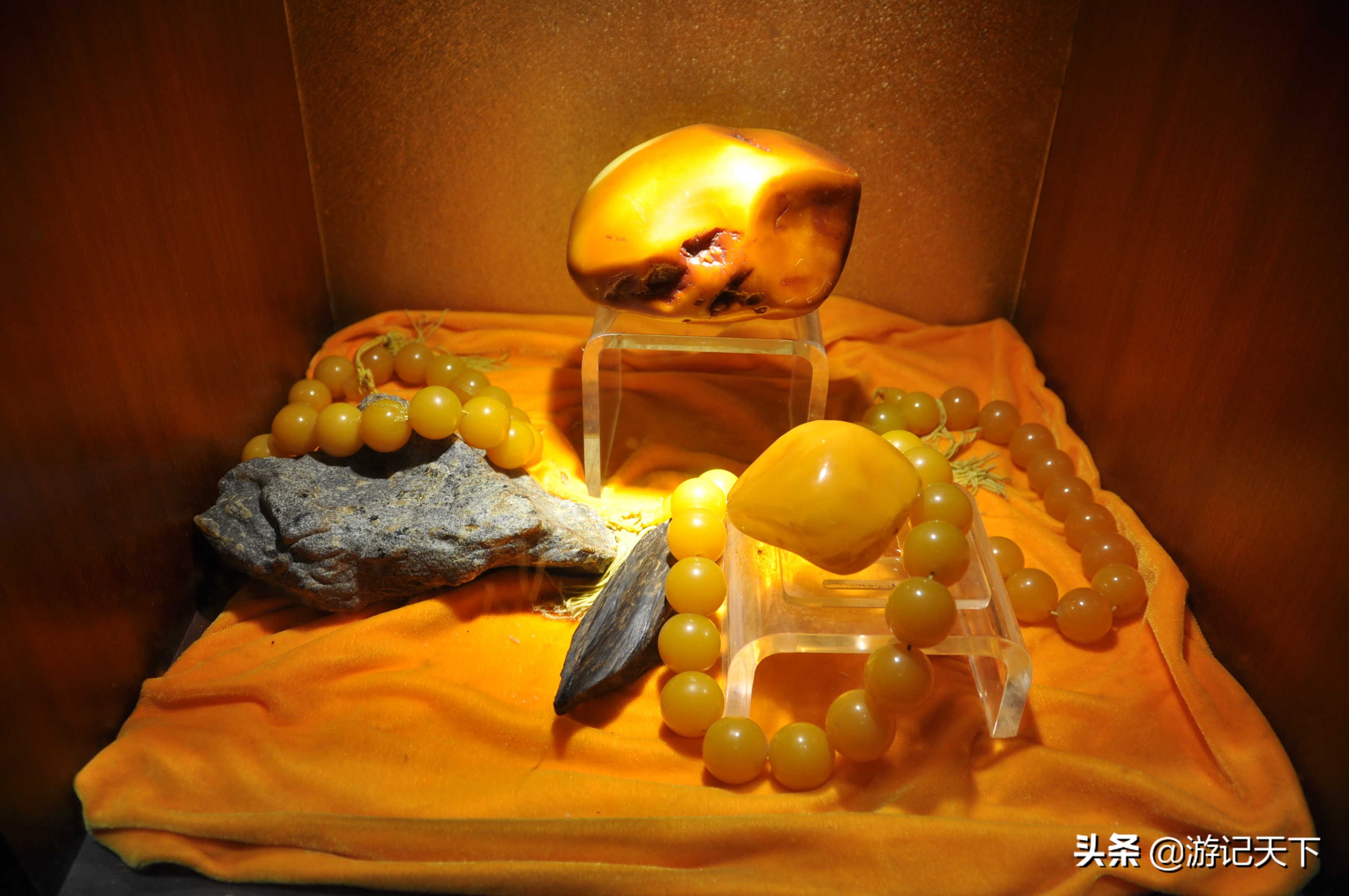 参观上海东方地质科普馆,上海东方地质科普馆需要预约吗