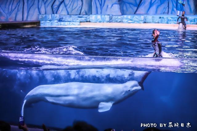 珠海亲子游必玩景点,珠海一日游适合带孩子玩的景点