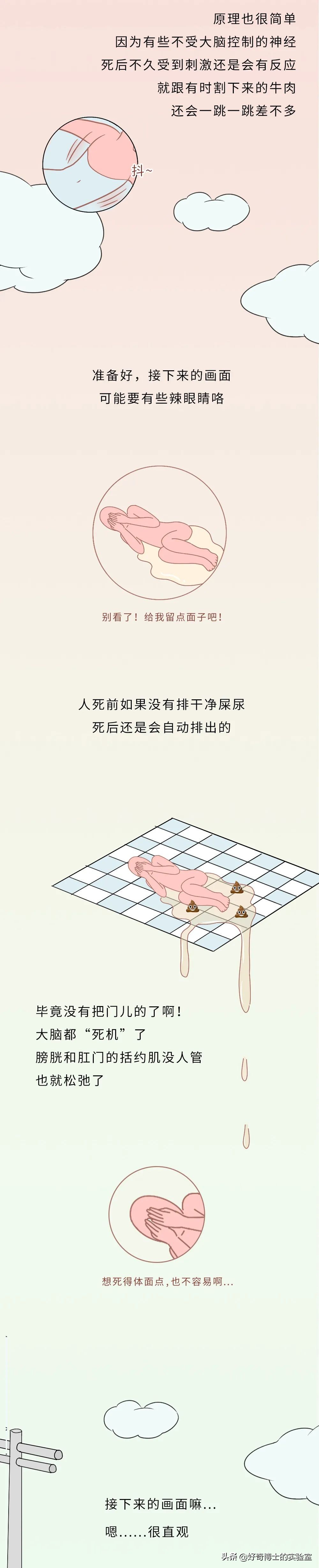 没有人比我更懂原话英文,没有人比我更懂鬼畜原版