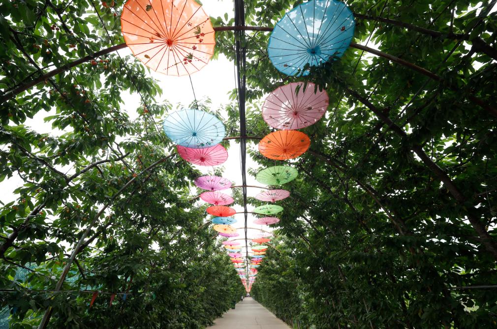 北京4月踏青的地方丰台区有哪些,丰台踏青好去处