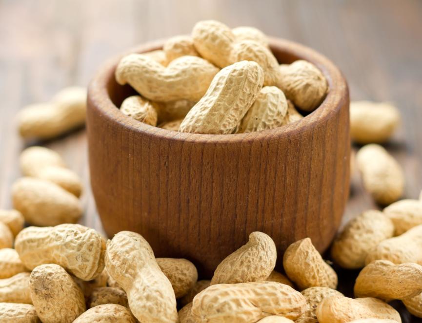 农业农村部最新农情调查显示,农情快报最新视频