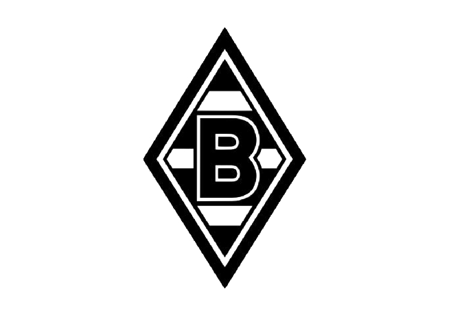 伪球迷指南多特,足坛伪球迷入门指南