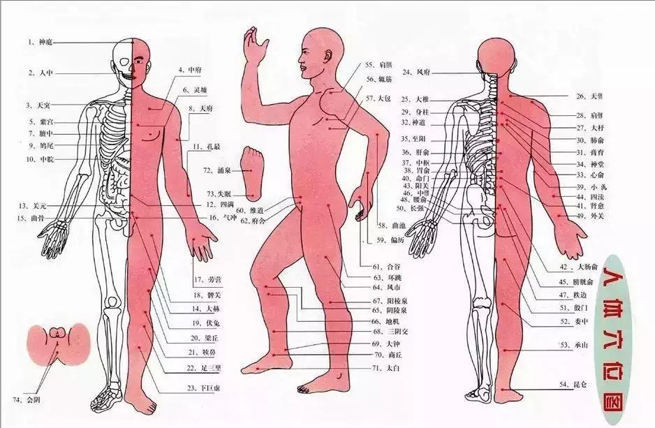 珍藏版103个配穴大全,79种常见病特效穴大全太珍贵了