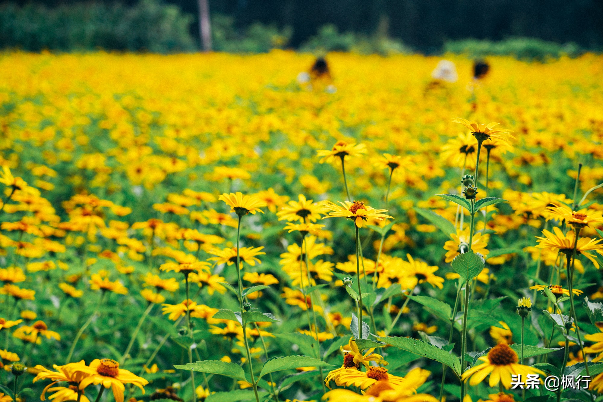 度假不逛景点适合去哪里,度假不必去远方