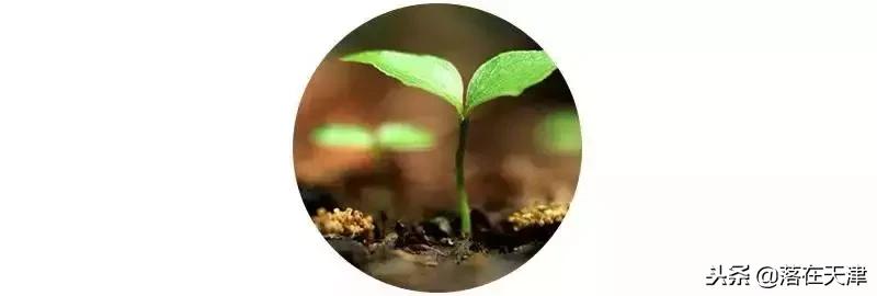 大雪将至怎么养生,冬季大雪节气养生