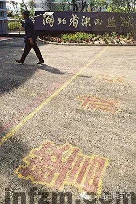 24岁小姨子入狱16年,53岁小姨子入狱16年