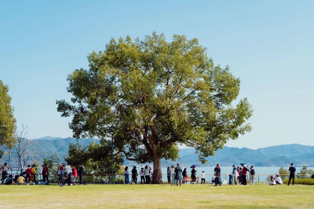 宁波周末走走,宁波旅游必去十大景点推荐自驾游