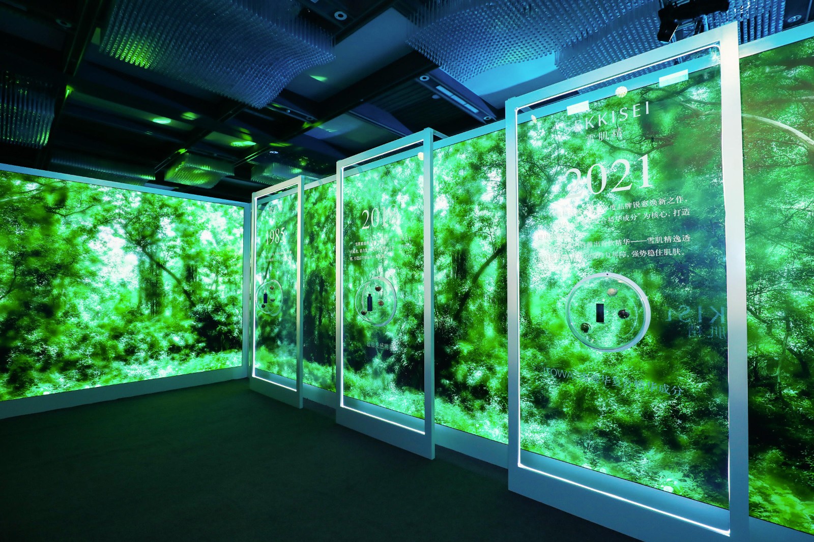 陈宥维雪肌精,雪肌精品牌大使陈宥维