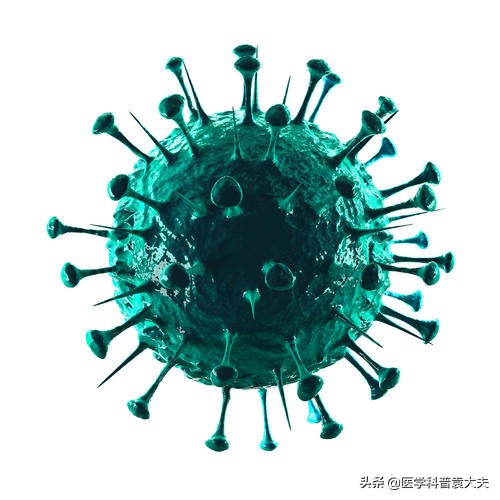 了解《新型冠状病毒肺炎诊疗快速指南》，防控新冠毒肺炎