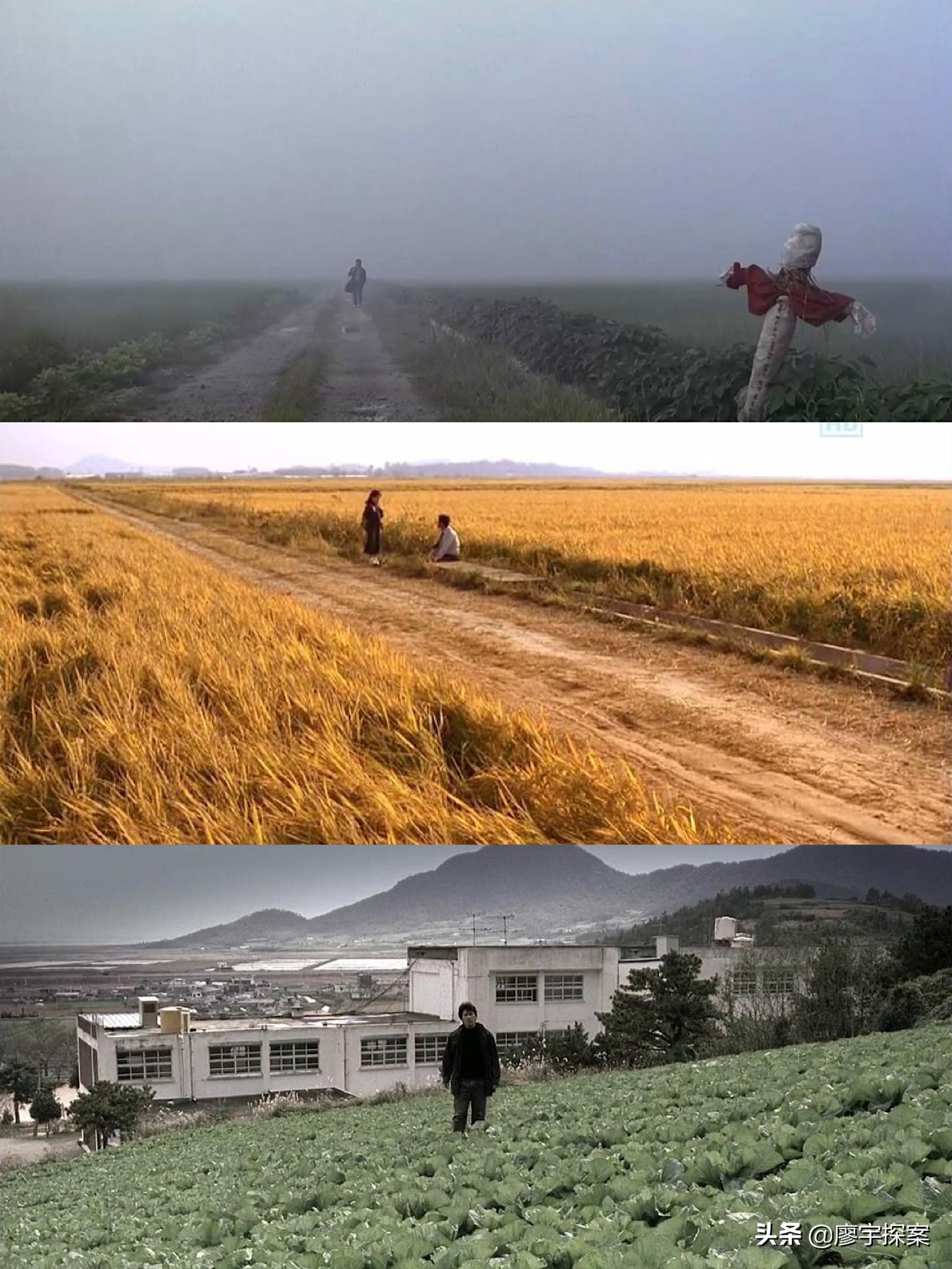 导演隐藏了什么才让8.8分的《*宗罪七**》和《杀人回忆》被奉为经典