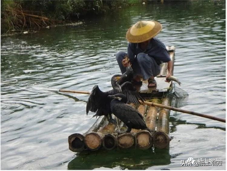 熬鹰人的品质,熬鹰熬不了就是精英吗