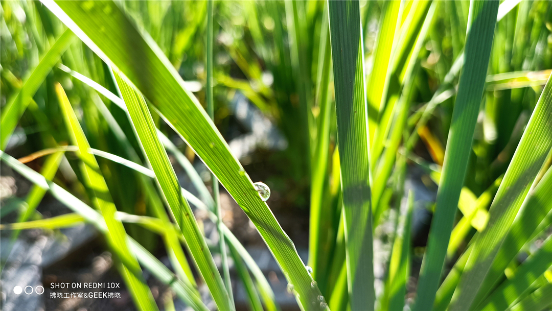 redmi10x最新开箱,redmi10x包装