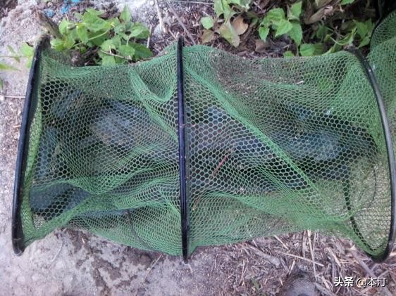 潘塘石窝钓鱼,路亚鱼塘钓石斑用什么假饵