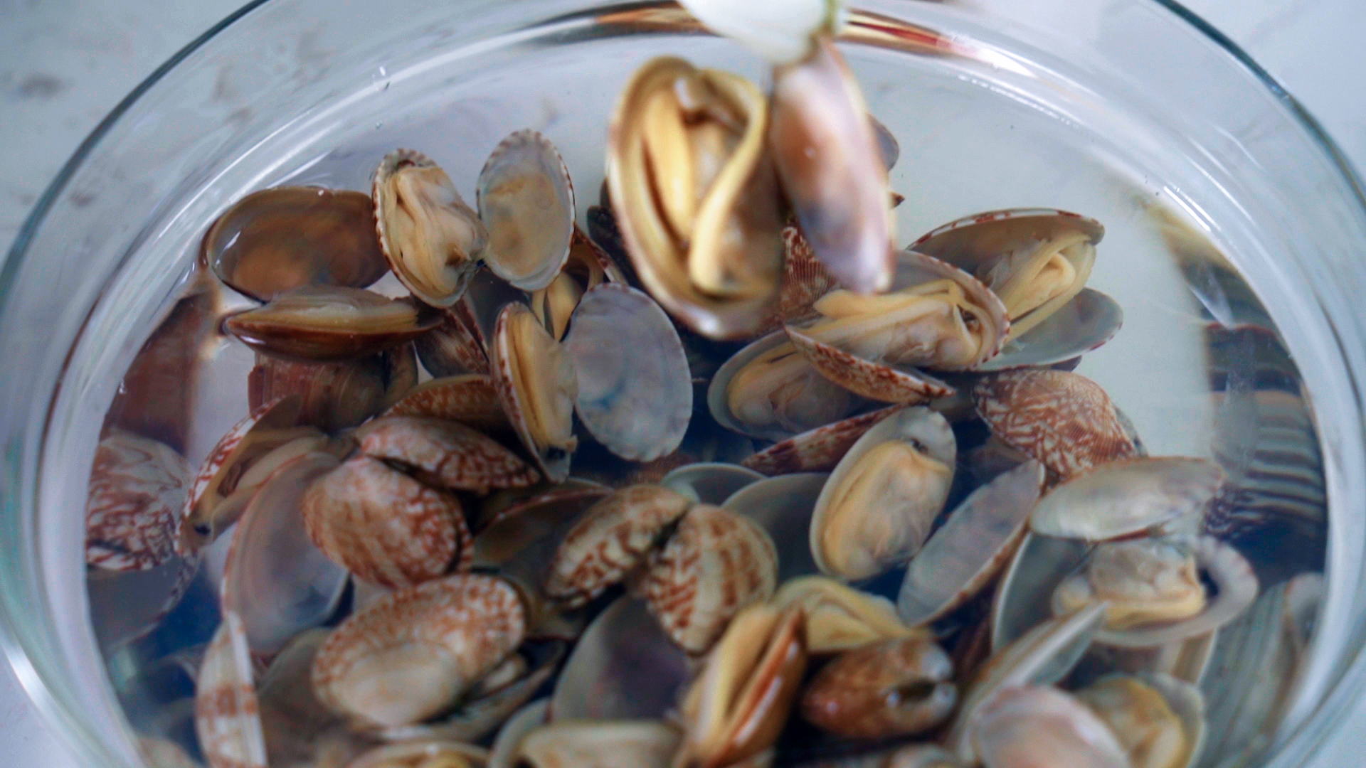 销量最好的三款嵌入式蒸烤一体机,嵌入式蒸烤一体机高性价比推荐